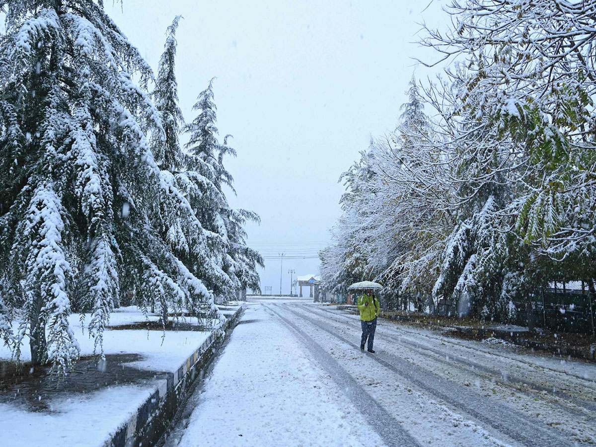 Heavy Snowfall Hits Jammu Kashmir Photo Gallery - Sakshi11