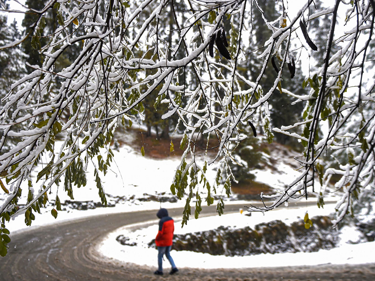 Heavy Snowfall Hits Jammu Kashmir Photo Gallery - Sakshi17