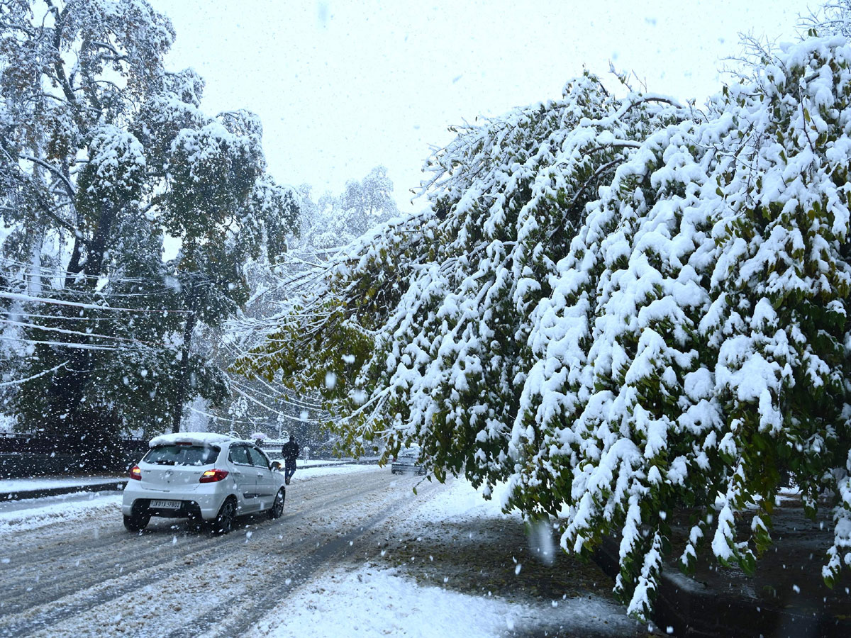 Heavy Snowfall Hits Jammu Kashmir Photo Gallery - Sakshi2