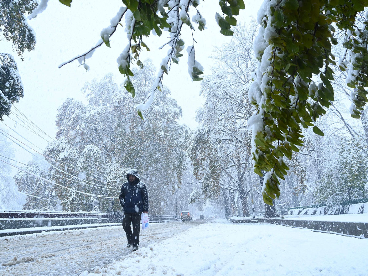 Heavy Snowfall Hits Jammu Kashmir Photo Gallery - Sakshi3