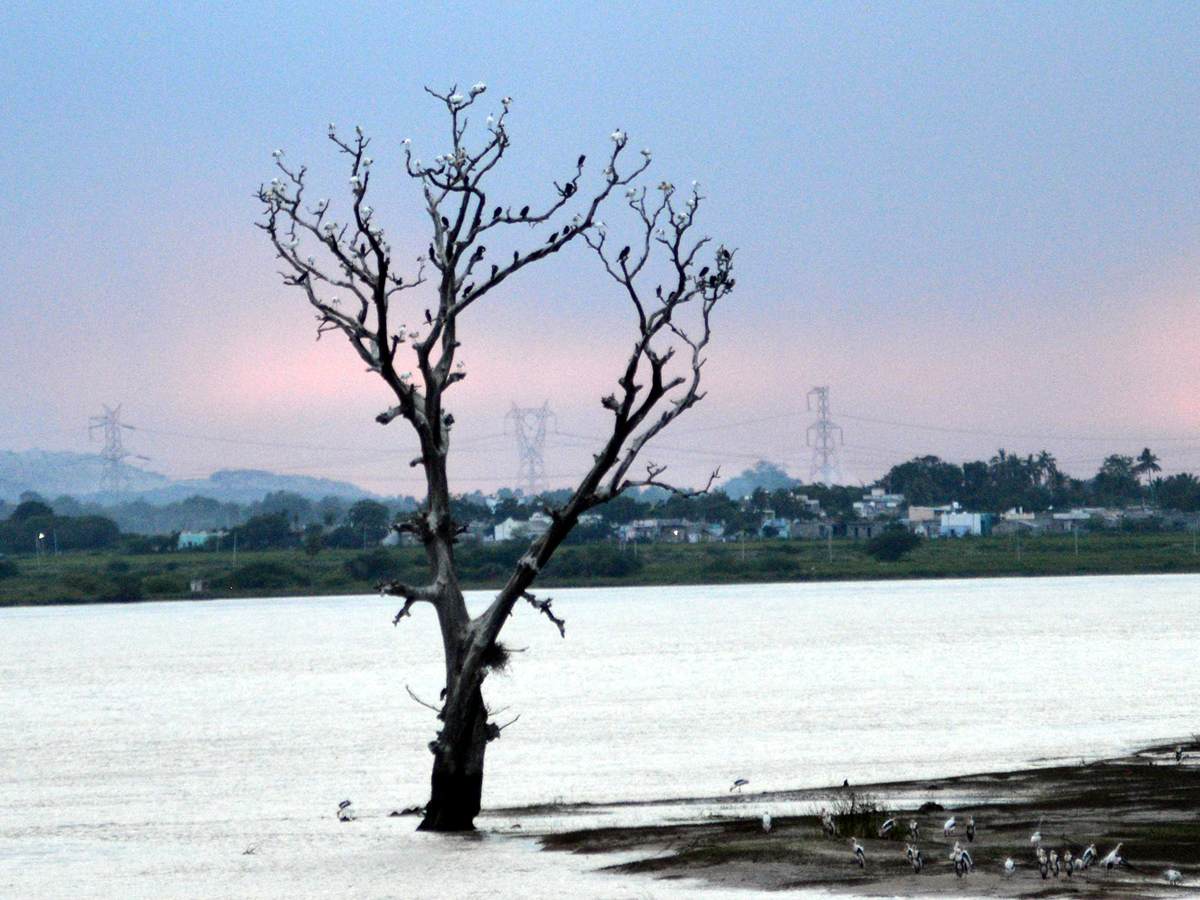 Best pics of The Week in AP and Telangana  November 10-11-2019 to November 17-11- 2019 - Sakshi11