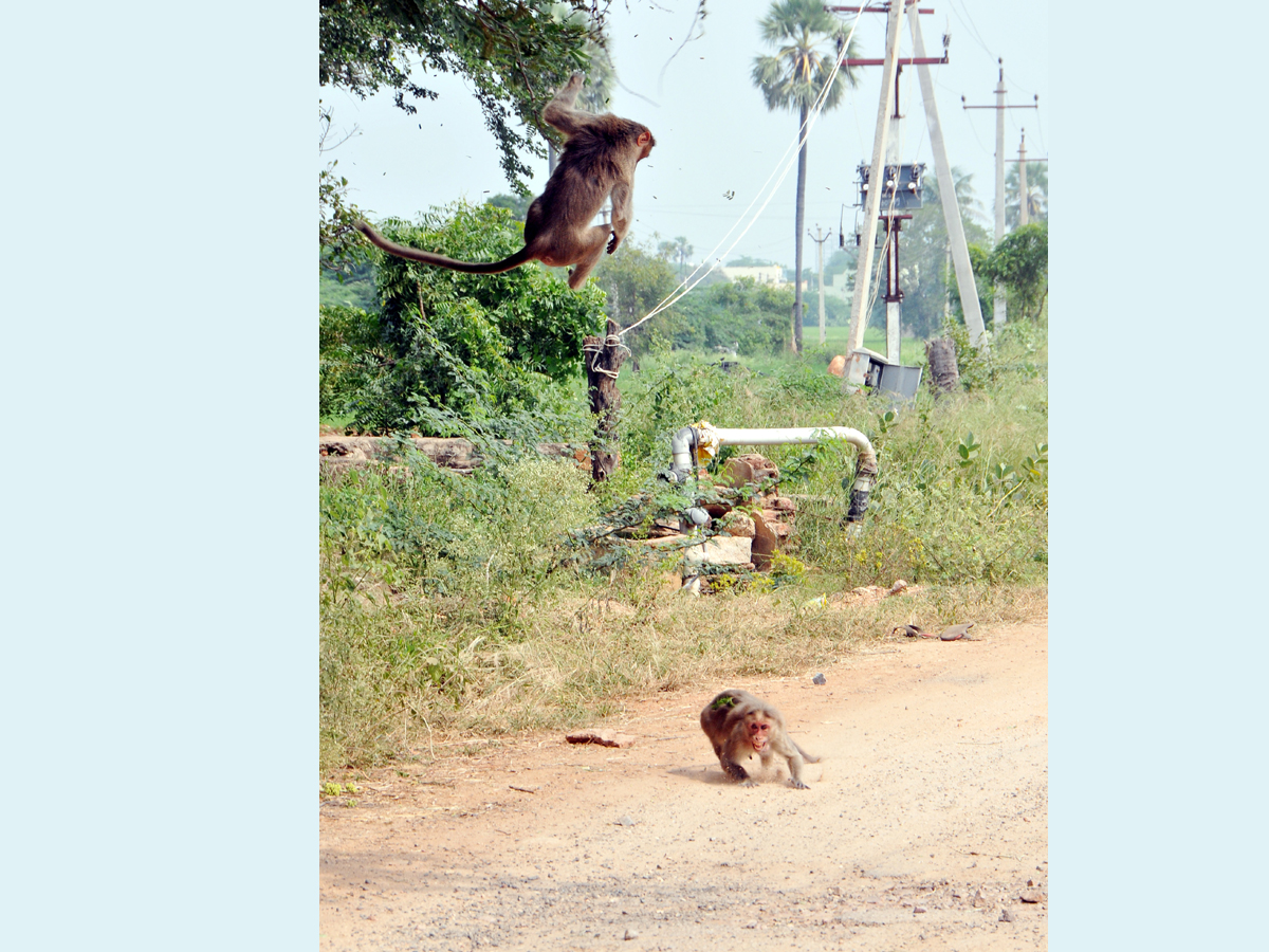 Best pics of The Week in AP and Telangana  November 10-11-2019 to November 17-11- 2019 - Sakshi6