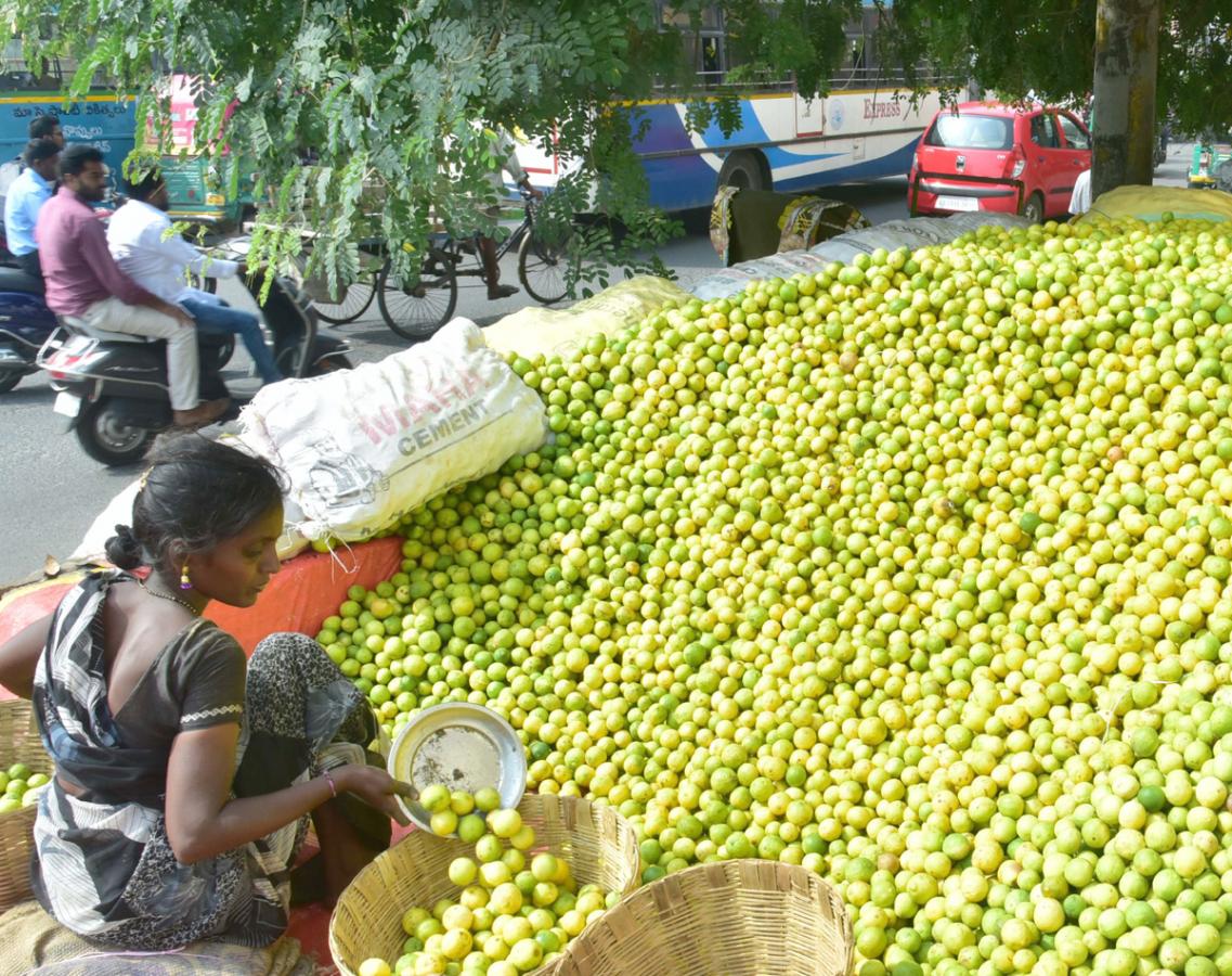 Best images of The Week in AP and Telangana  December 01-12 -2019 to December 08-12- 2019 - Sakshi3