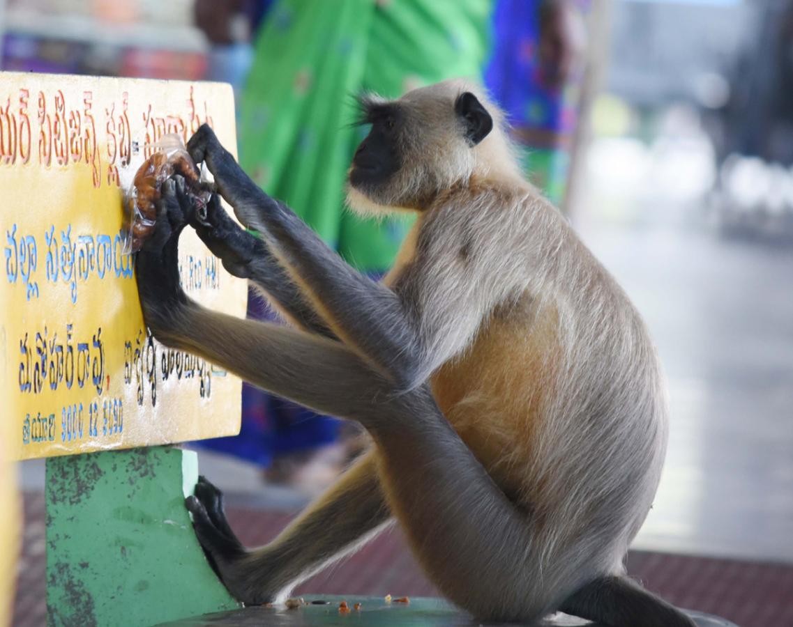 Best images of The Week in AP and Telangana  December 01-12 -2019 to December 08-12- 2019 - Sakshi10