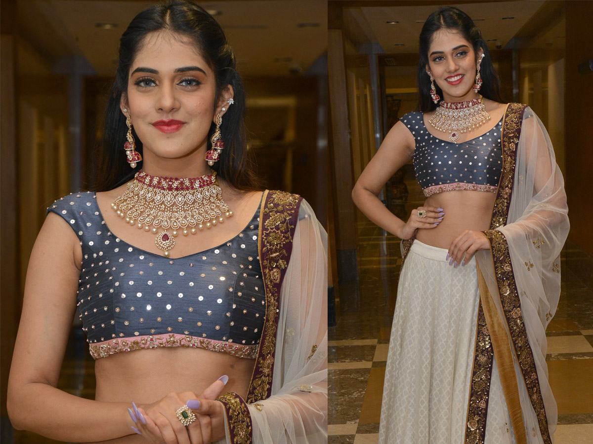 Curtain Raiser of UE The Jewellery Expo at Hotel Marigold Photo Gallery - Sakshi12