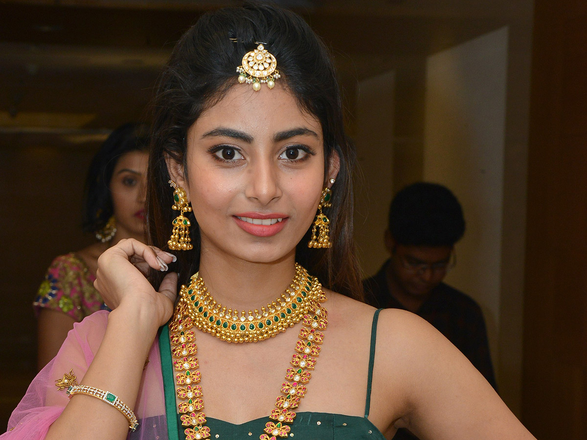 Curtain Raiser of UE The Jewellery Expo at Hotel Marigold Photo Gallery - Sakshi9