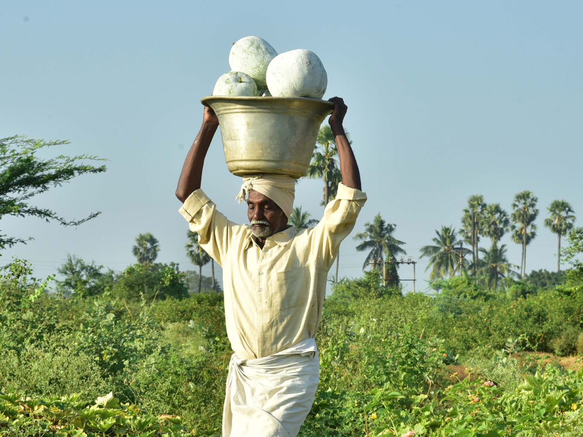 Best Photos of The Week in AP and Telangana December 15-12 -2019 to December 22-12- 2019 - Sakshi4