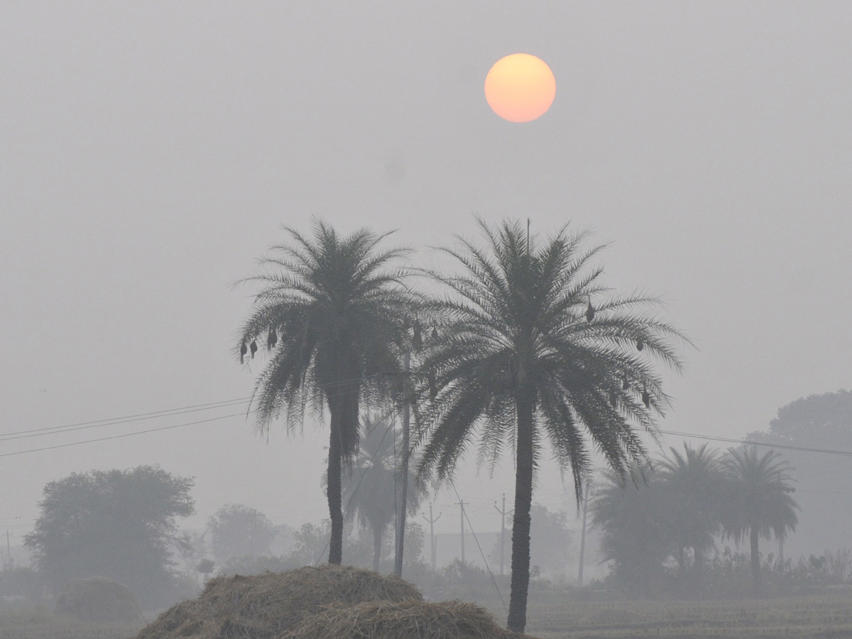 Best Photos of The Week in AP and Telangana December 15-12 -2019 to December 22-12- 2019 - Sakshi22