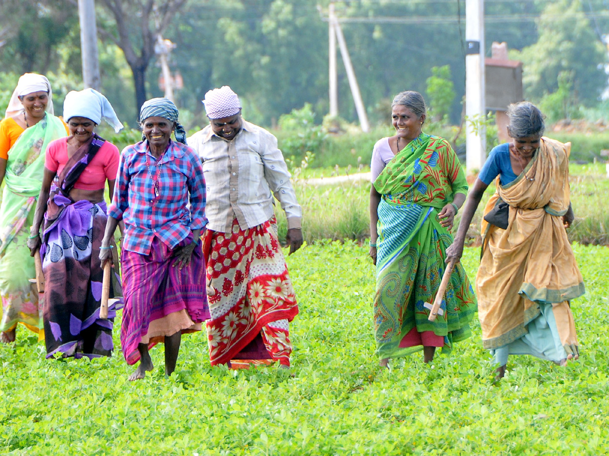 Best Photos of The Week in AP and Telangana December 15-12 -2019 to December 22-12- 2019 - Sakshi6