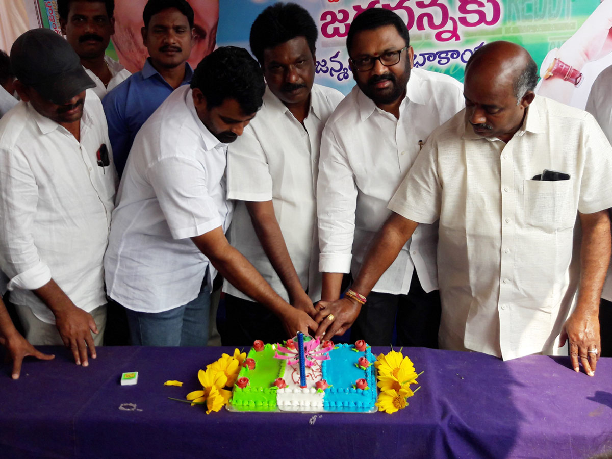 YS Jagan Mohan Reddy Birthday Celebration in AP Photo Gallery - Sakshi20