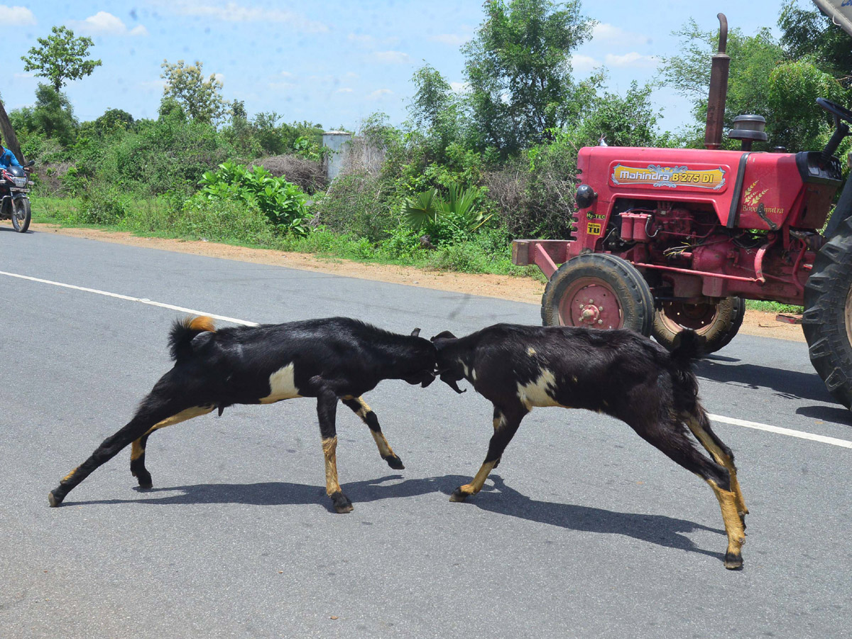 Best pics of The Week in AP and Telangana December 22-12 -2019 to December 29-12- 2019 - Sakshi15