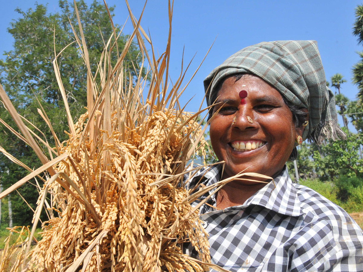 Images of The Week in AP and Telangana Dec 28 to Jan 05 2020 - Sakshi38