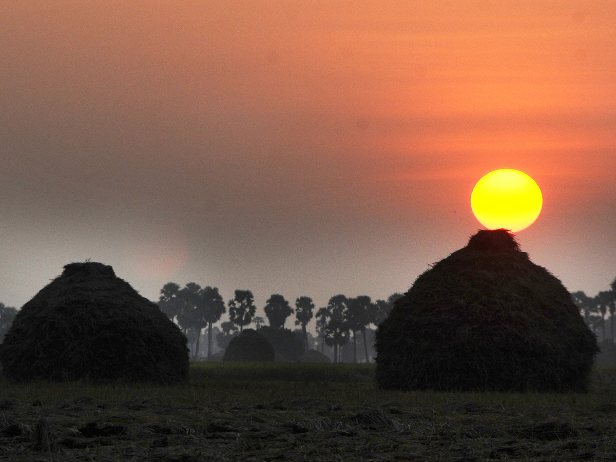 Images of The Week in AP and Telangana Dec 28 to Jan 05 2020 - Sakshi35