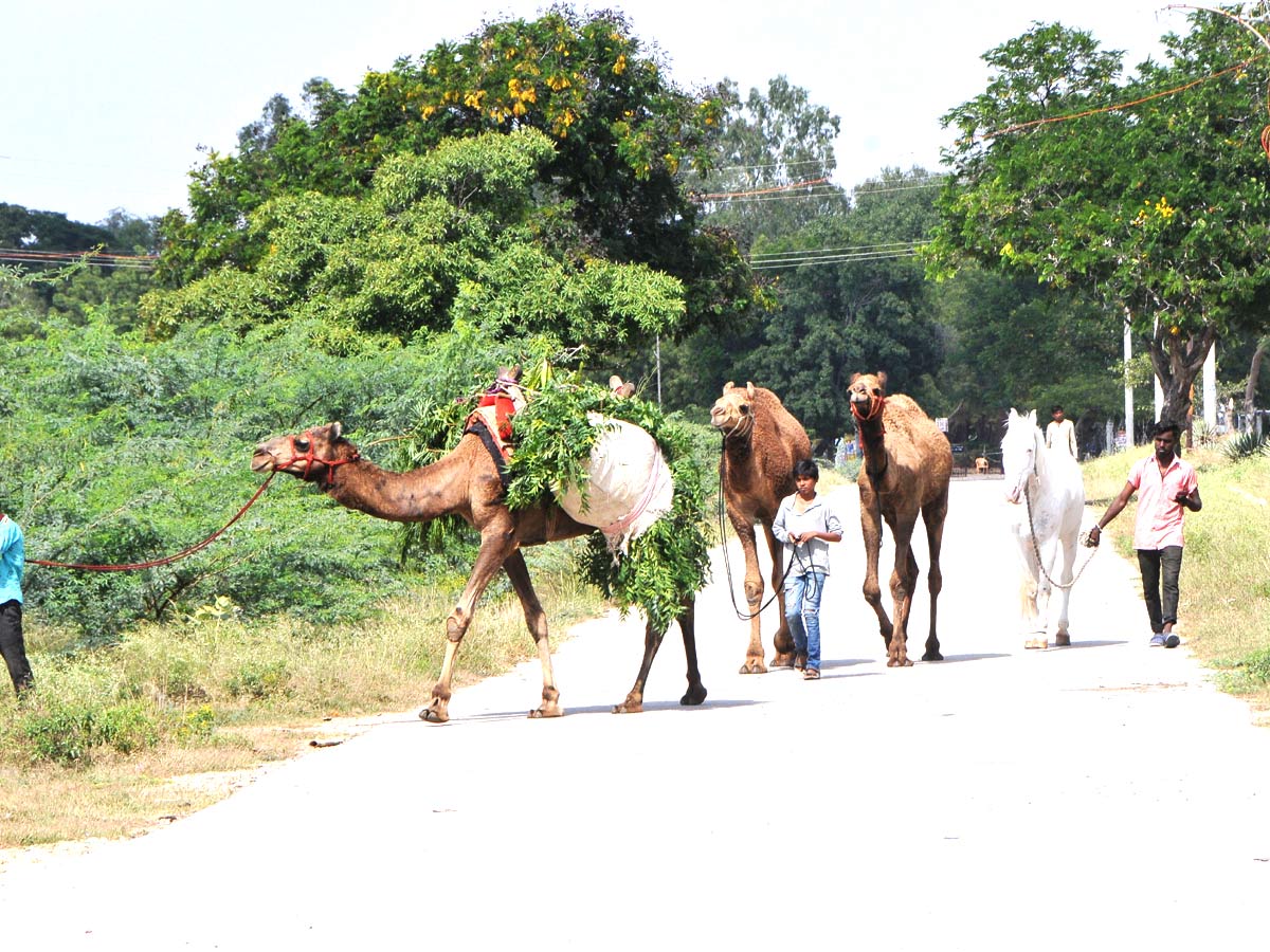 Images of The Week in AP and Telangana Dec 28 to Jan 05 2020 - Sakshi7