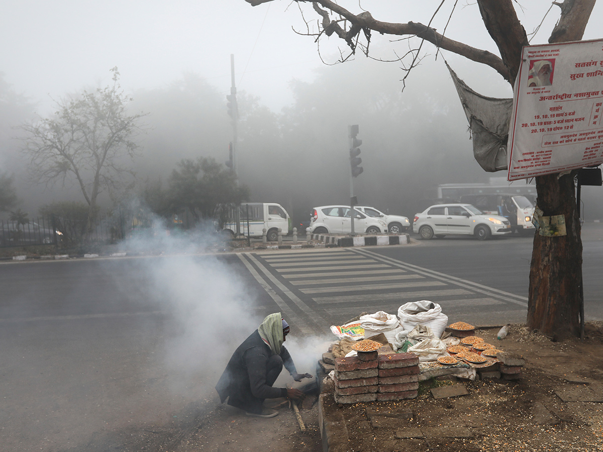 Heavy Fog In New Delhi Photo Gallery - Sakshi19