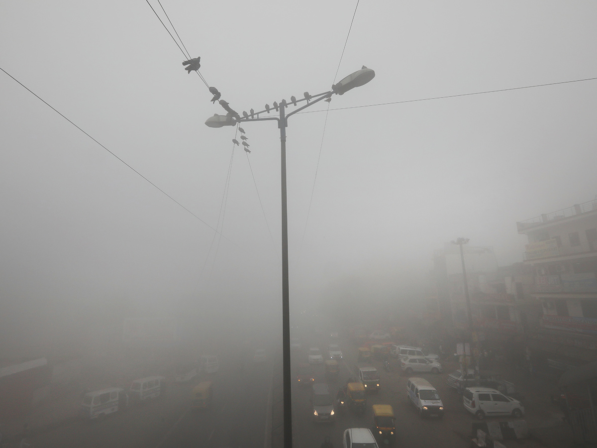 Heavy Fog In New Delhi Photo Gallery - Sakshi22