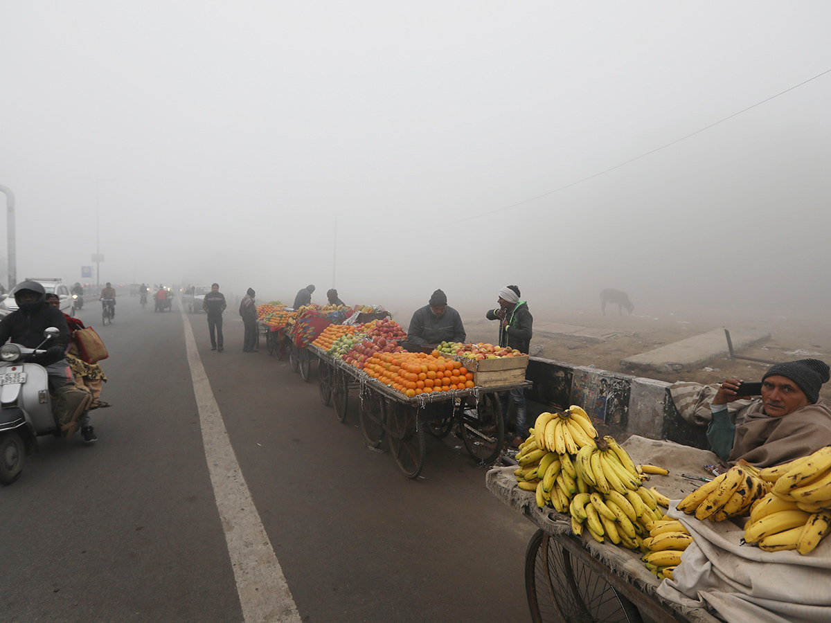 Heavy Fog In New Delhi Photo Gallery - Sakshi28