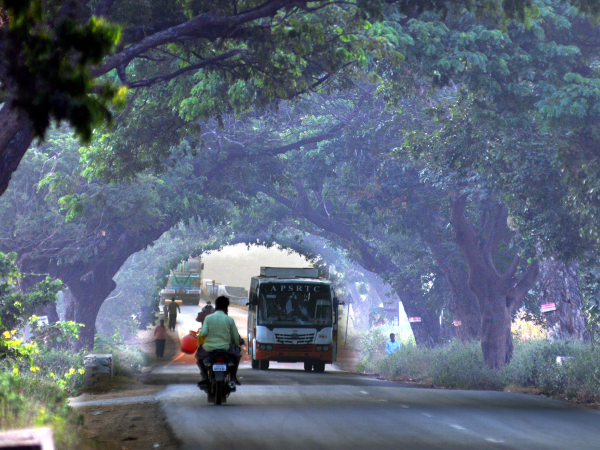 Best images of The Week in AP and Telangana  December 08-12 -2019 to December 15-12- 2019 - Sakshi10