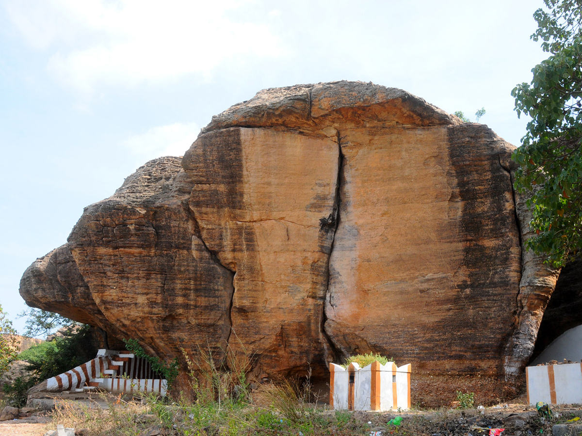 Best images of The Week in AP and Telangana  December 08-12 -2019 to December 15-12- 2019 - Sakshi11