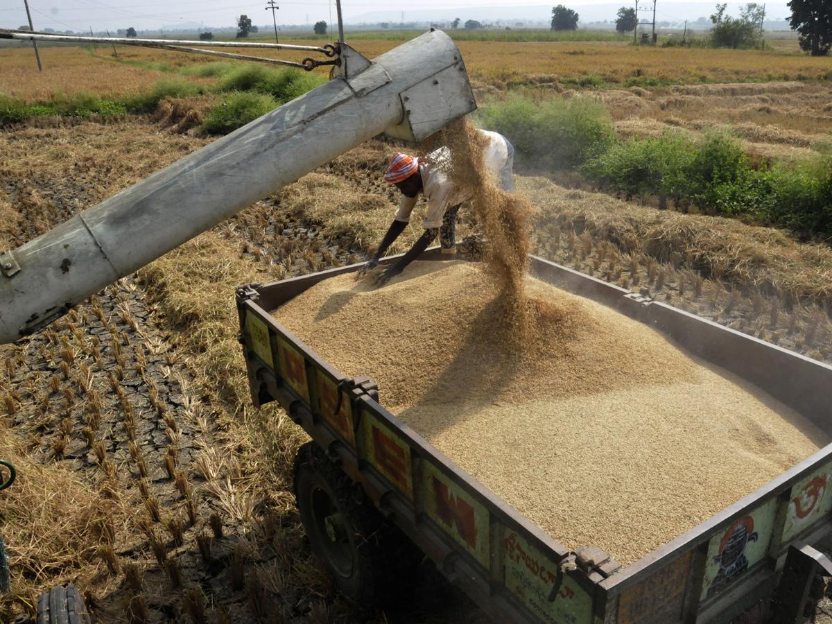 Best images of The Week in AP and Telangana  December 08-12 -2019 to December 15-12- 2019 - Sakshi15