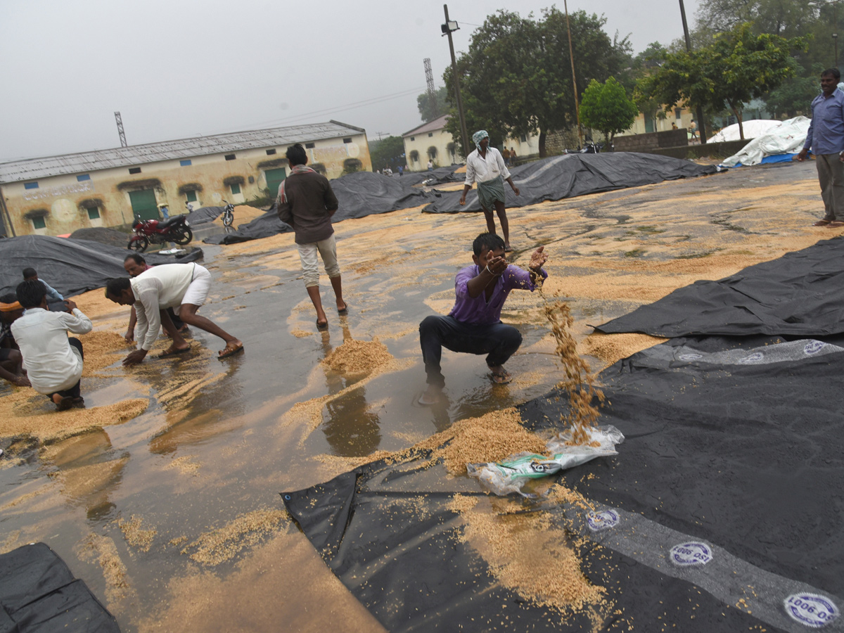 Best images of The Week in AP and Telangana  December 08-12 -2019 to December 15-12- 2019 - Sakshi16