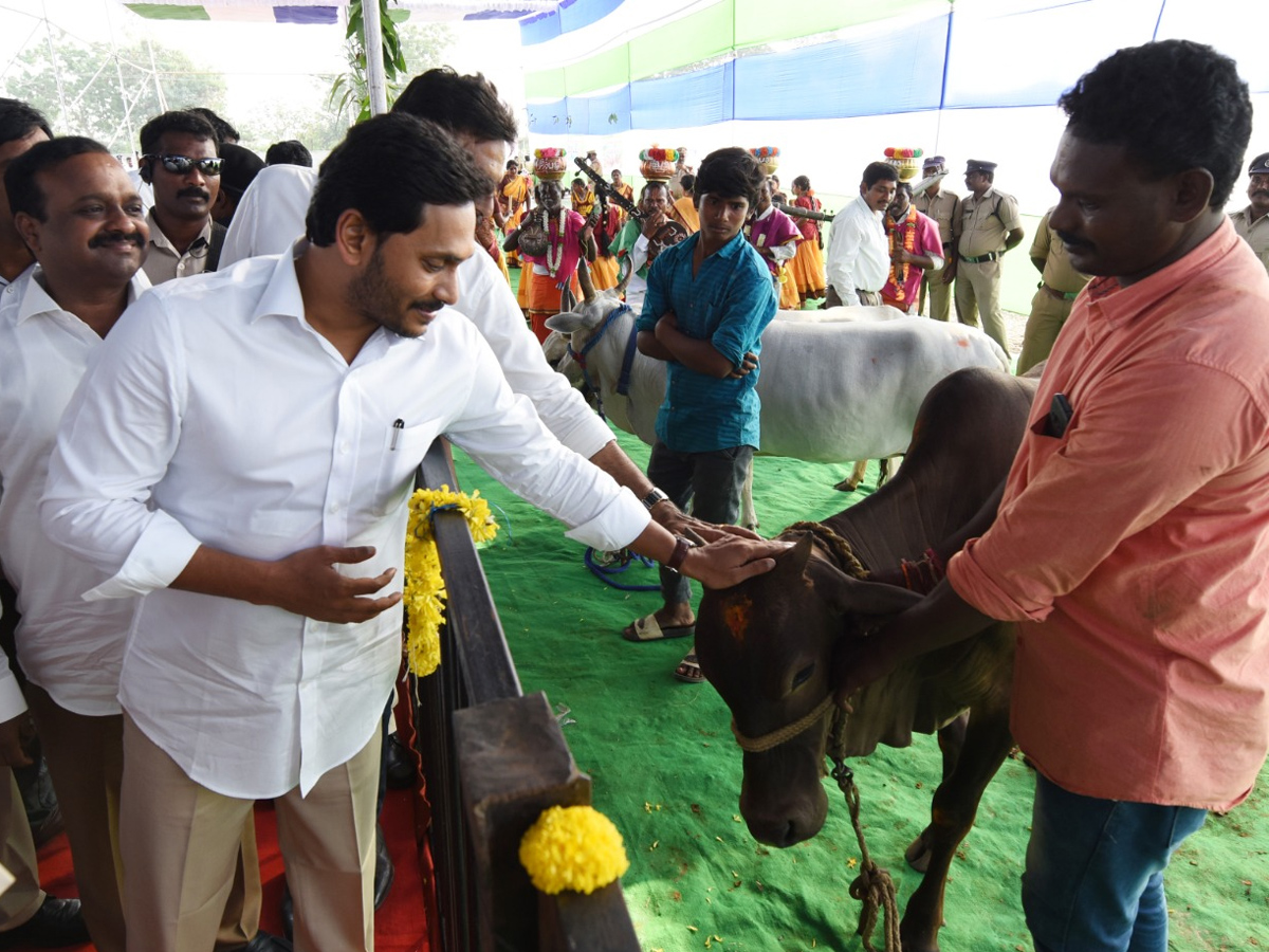 CM Jagan Reddy participates in Sankranti celebrations at Gudivada - Sakshi11