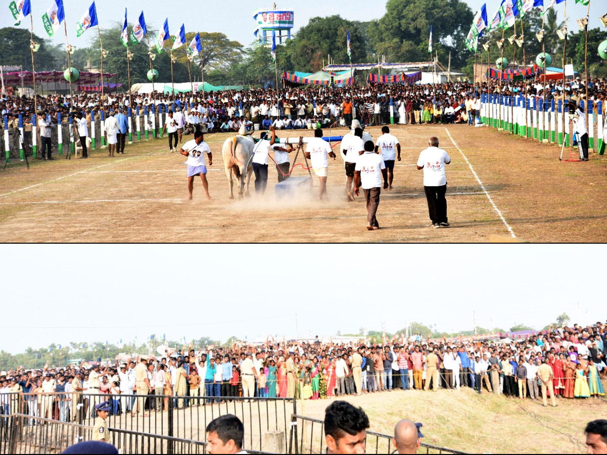 CM Jagan Reddy participates in Sankranti celebrations at Gudivada - Sakshi25