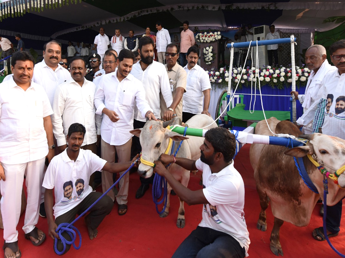 CM Jagan Reddy participates in Sankranti celebrations at Gudivada - Sakshi24