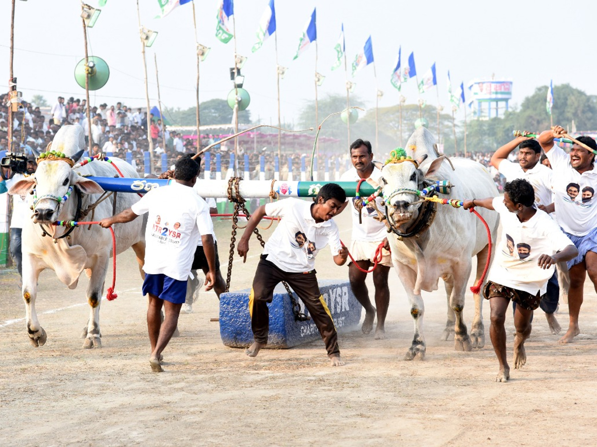 CM Jagan Reddy participates in Sankranti celebrations at Gudivada - Sakshi26