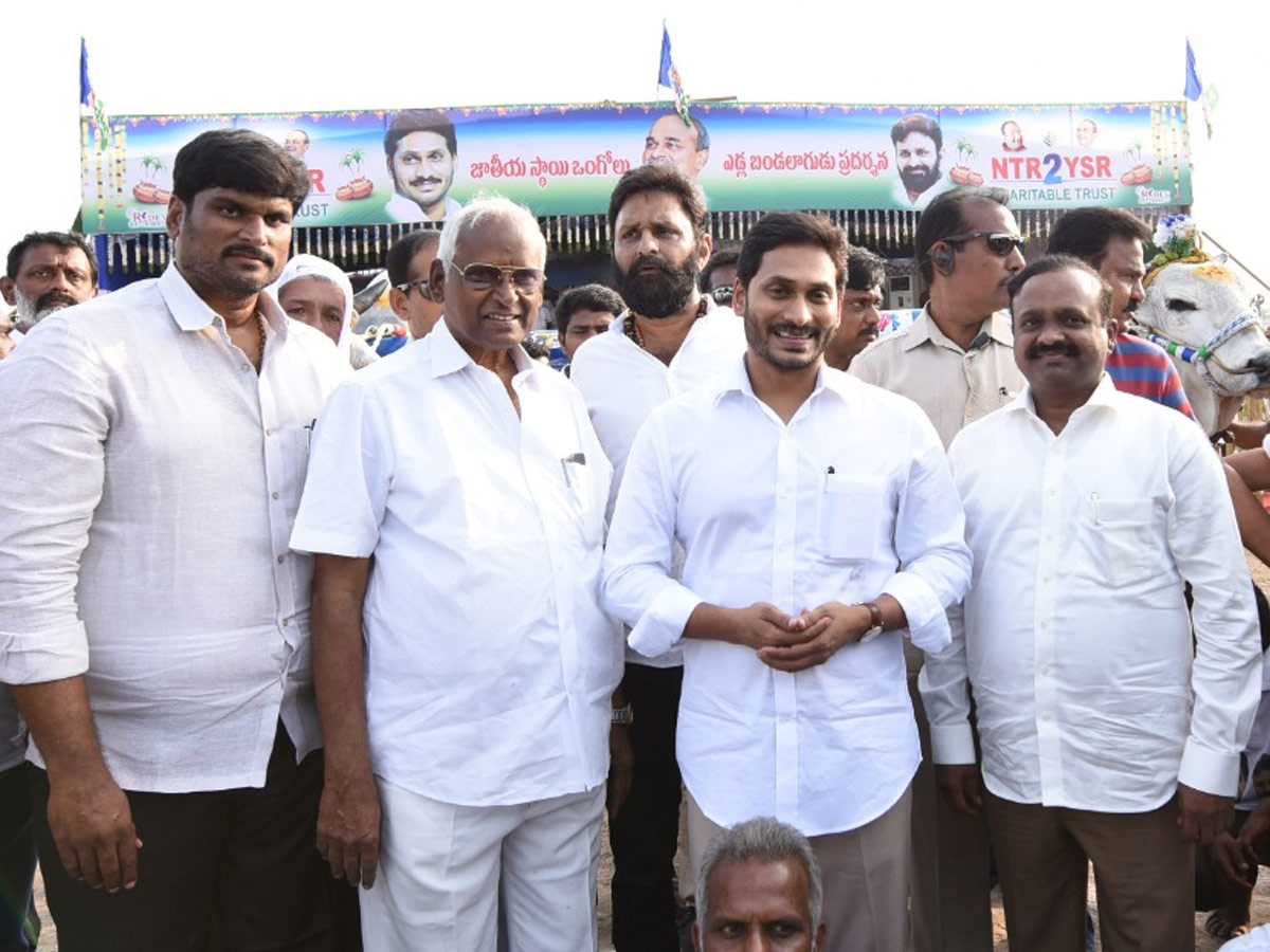 CM Jagan Reddy participates in Sankranti celebrations at Gudivada - Sakshi5