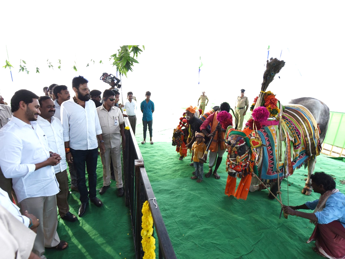 CM Jagan Reddy participates in Sankranti celebrations at Gudivada - Sakshi8