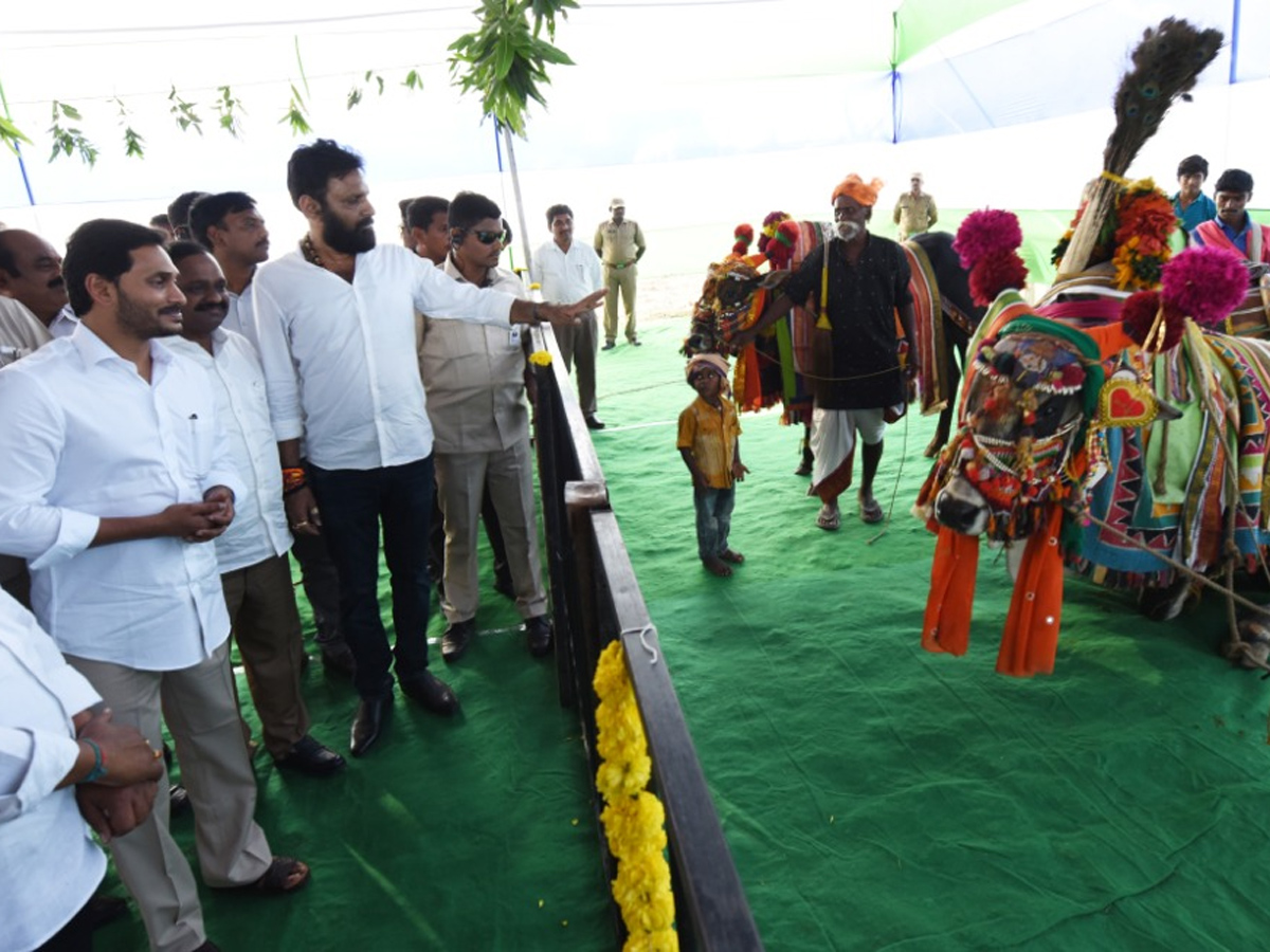 CM Jagan Reddy participates in Sankranti celebrations at Gudivada - Sakshi9