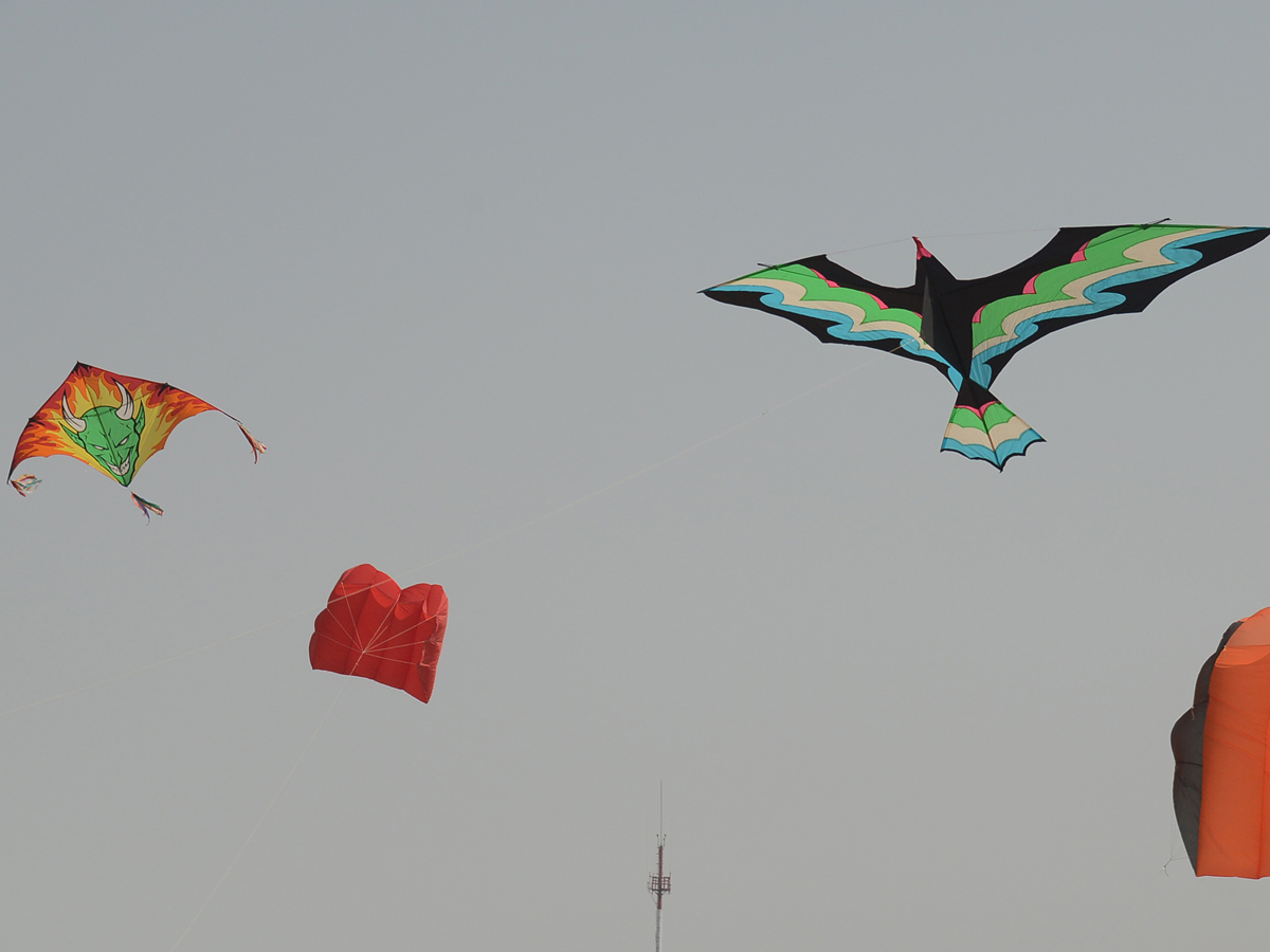  telangana kite festival 2020 Photo Gallery - Sakshi16