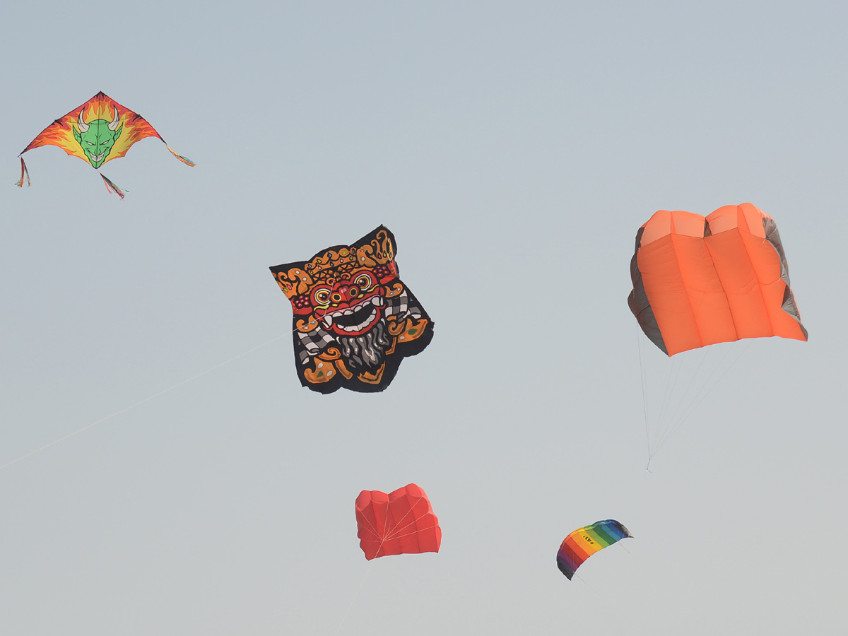  telangana kite festival 2020 Photo Gallery - Sakshi17