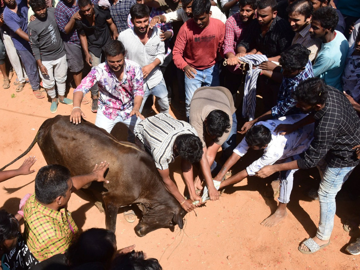  Jallikattu Celebrations in Rangampeta Photo gallery - Sakshi18