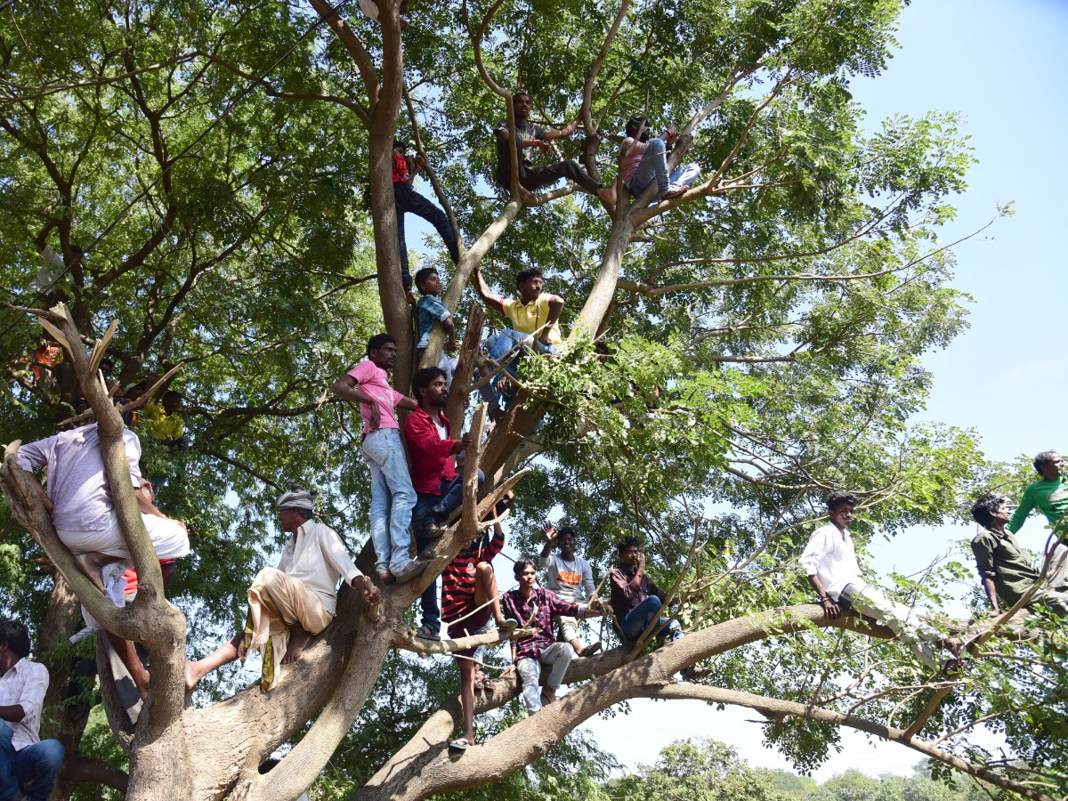  Jallikattu Celebrations in Rangampeta Photo gallery - Sakshi23