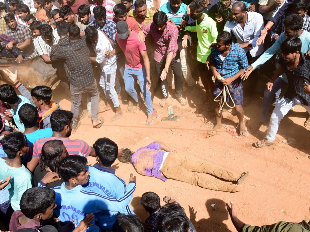  Jallikattu Celebrations in Rangampeta Photo gallery - Sakshi24