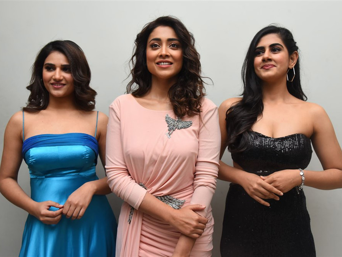 My South Diva Calendar 2020 Launch Photo Gallery  - Sakshi9