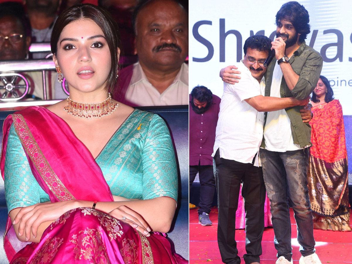 Aswathama Audio Launch Photo Gallery  - Sakshi6