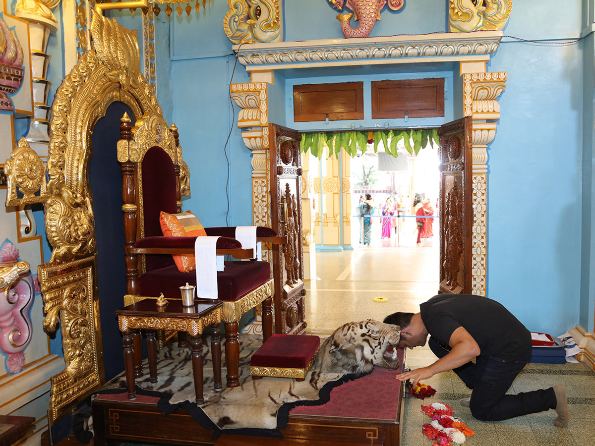 MS Dhoni Visits Puttaparthi Sri Sathya Sai Baba Temple Photo Gallery - Sakshi6