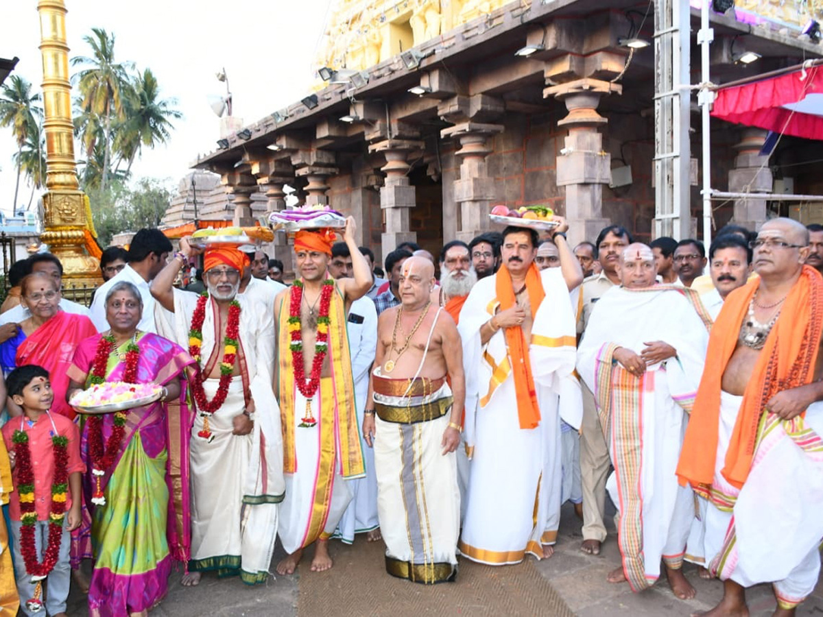  Srisailam Mallikarjuna Swamy In Mayura Vahana Photo Gallery - Sakshi8