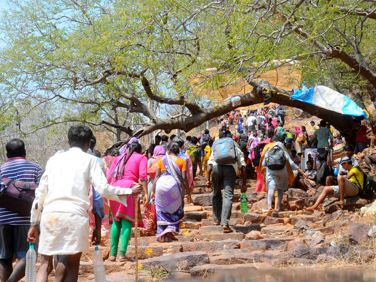 Maha Shivratri 2020 Srisailam Temple Photo Gallery - Sakshi14