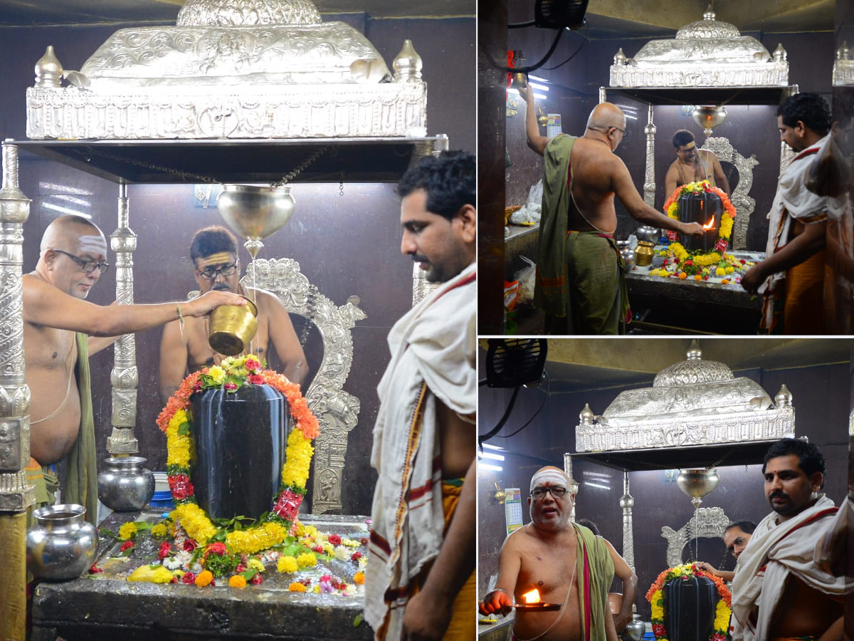 Maha Shivaratri Celebrations in telugu states Photo Gallery - Sakshi10