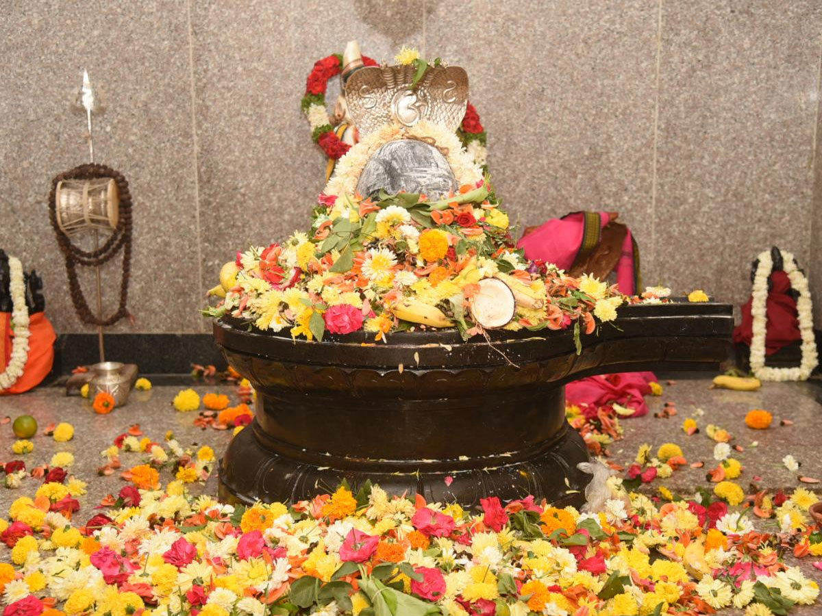 Maha Shivaratri Celebrations in telugu states Photo Gallery - Sakshi12