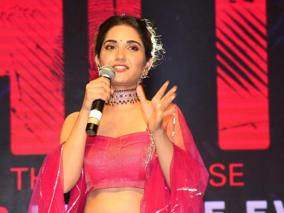 Hit Movie Pre Release Event in Vizag Photo Gallery - Sakshi15