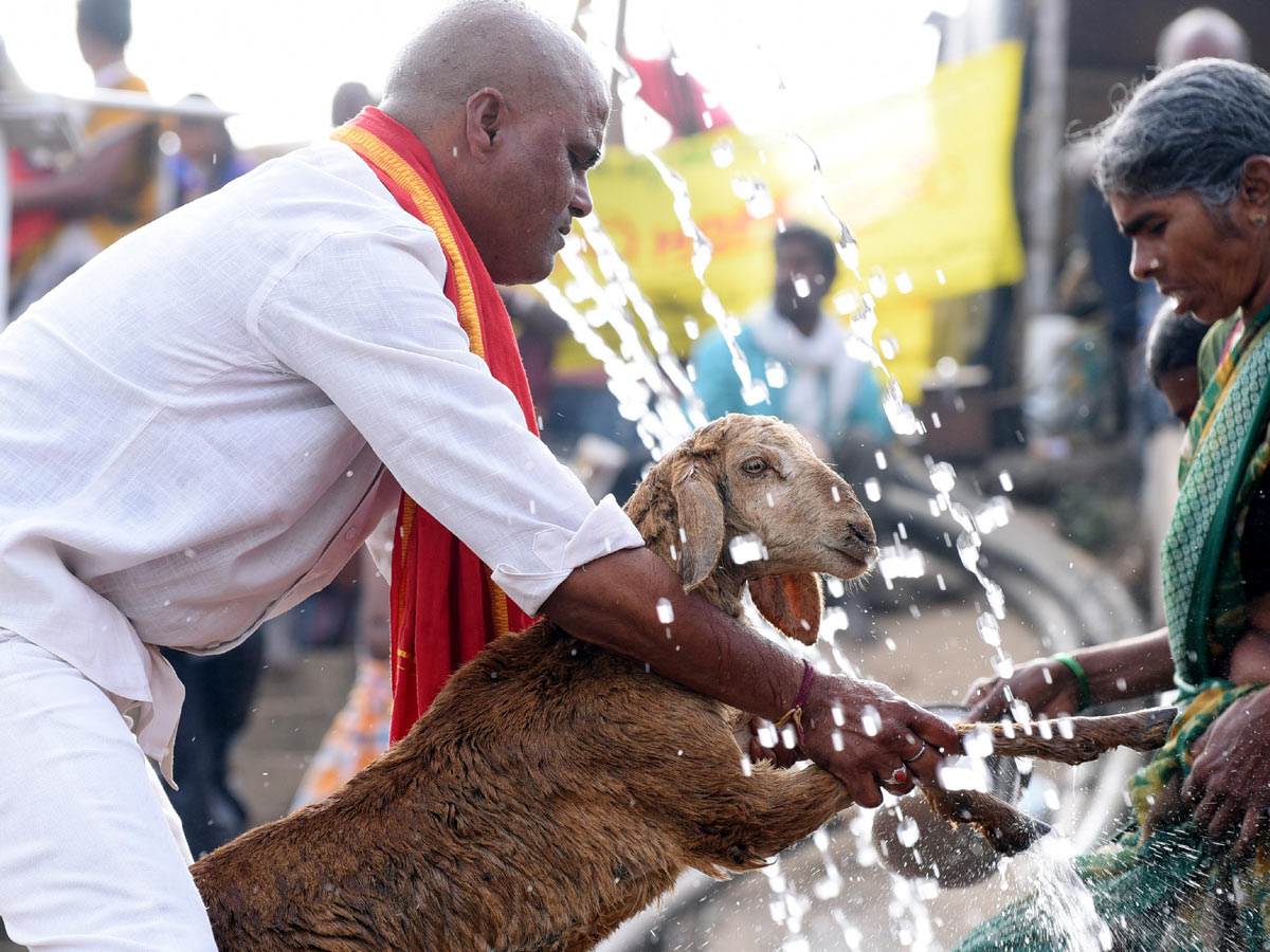 Medaram Jatara 2020 Photo Gallery - Sakshi25