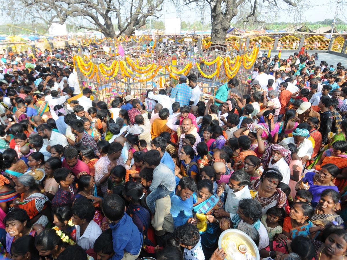 Medaram Jatara 2020 Photo Gallery 2d Day - Sakshi25