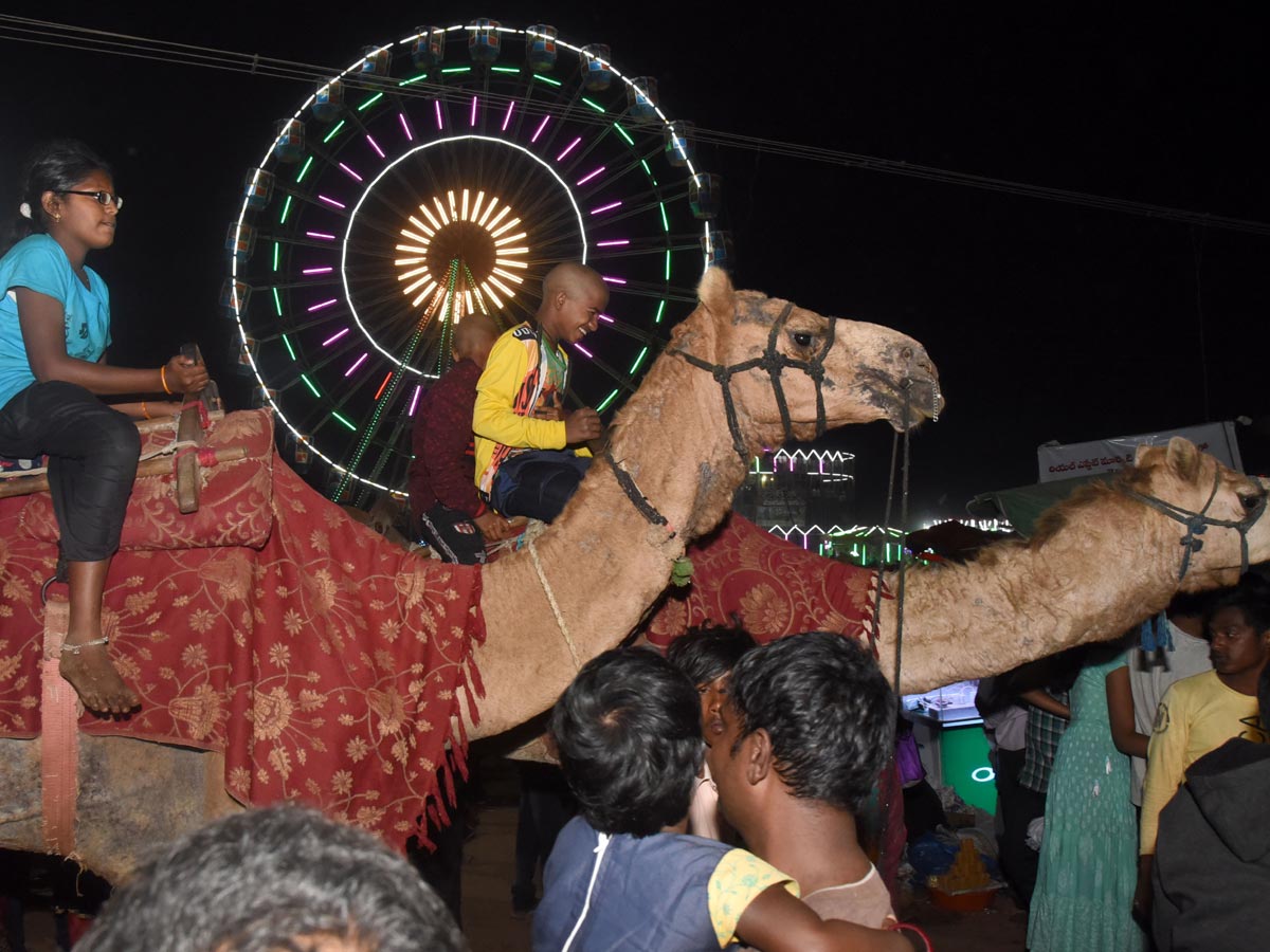 Medaram Sammakka Sarakka Jatara 2020 Photo Gallery - Sakshi14