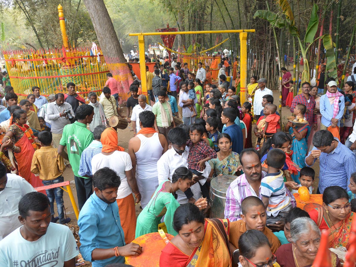 Day 2 Medaram Jatara Photo Gallery - Sakshi17