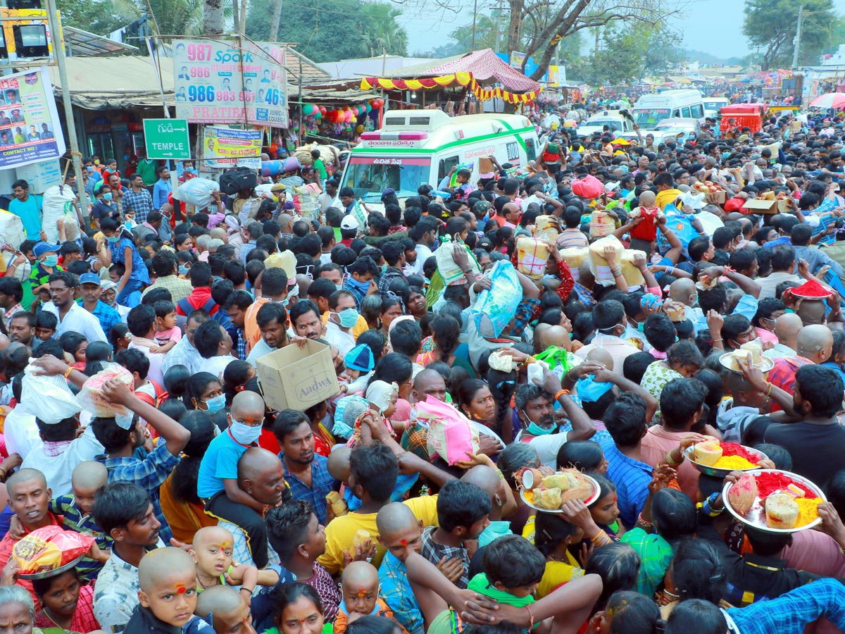 Day 2 Medaram Jatara Photo Gallery - Sakshi19